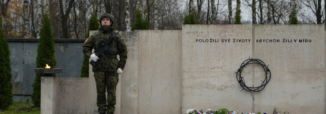 Den válečných veteránů