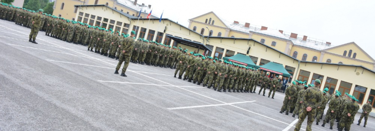 1._nastoupene_jednotky_31._prchbo.jpg