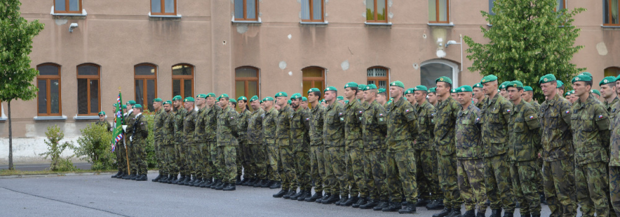 1._nastoupeny_31._pluk_radiacni_chemicke_a_biologicke_ochrany.jpg