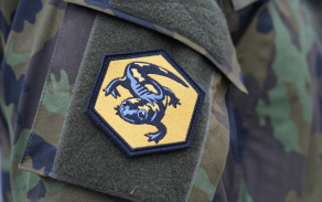 Den válečných veteránů